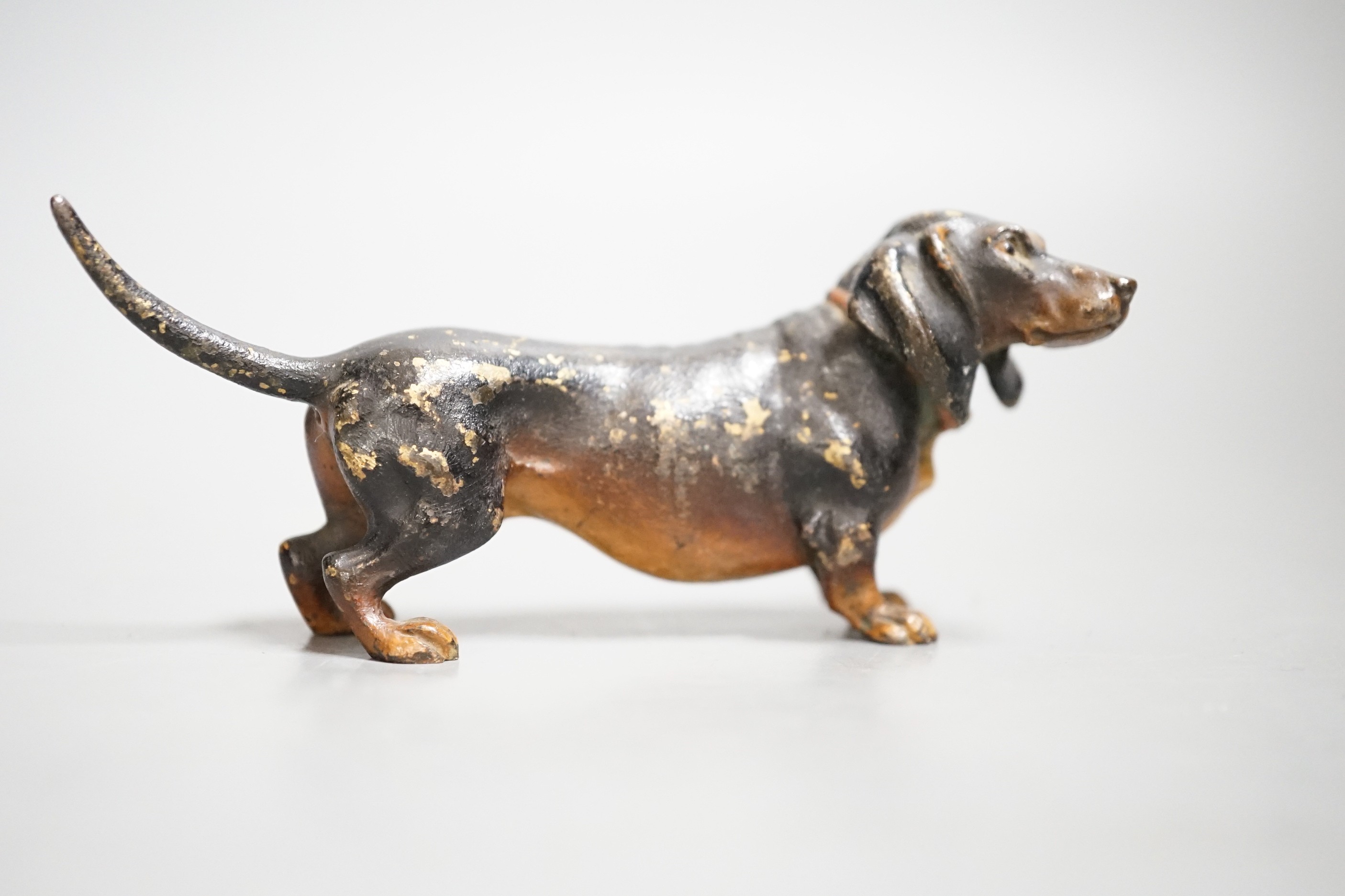 An Austrian cold painted model of a dachshund, stamped Geschutzt. 11cm long